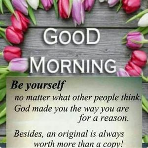 Meet your Posher, Neil